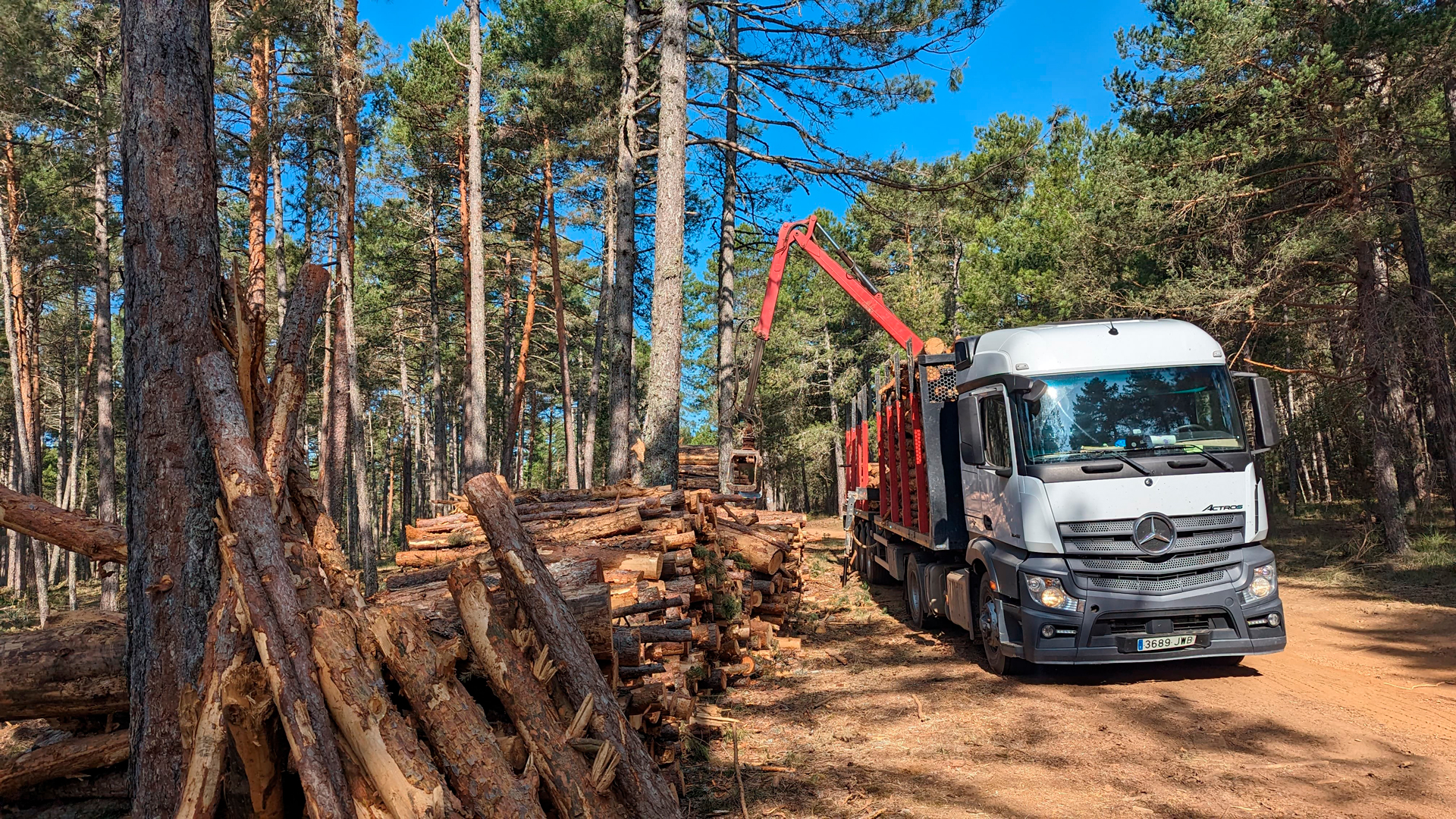 White logging truck with a red crane parked on a dirt road beside stacked logs in a pine forest