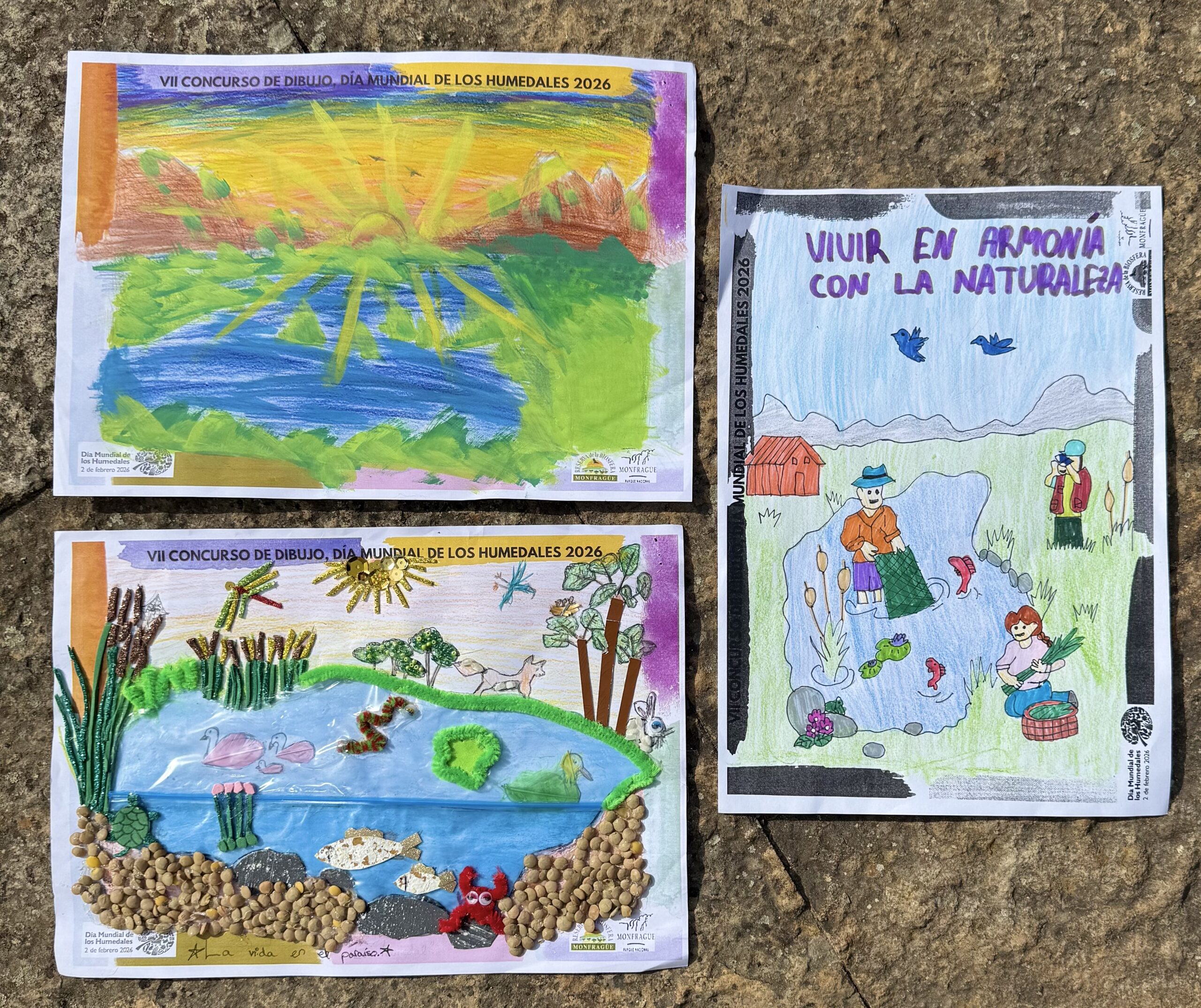 Colorful posters about World Wetlands Day 2026 laid on a rough surface, each featuring bright drawings of wetlands, plants, water, and people.