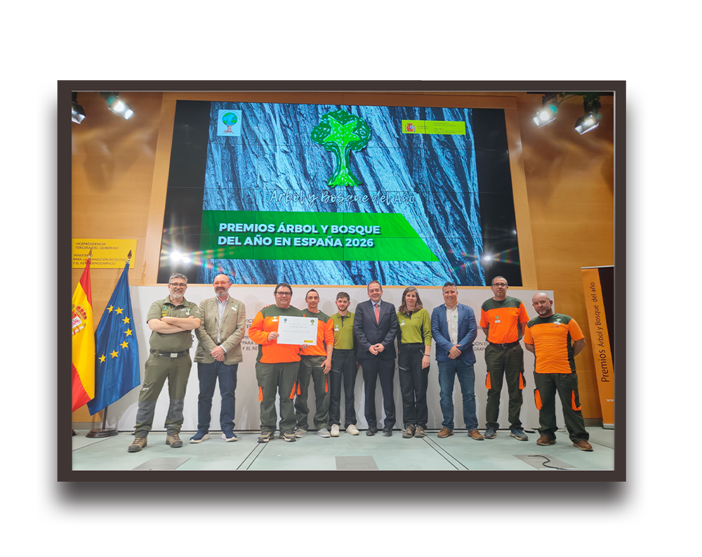 Group of people on a stage receiving an award at the Premios Árbol y Bosque del Año en España 2026 ceremony, with a large screen behind them and flags on the left.