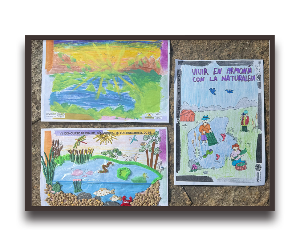 Three colorful children’s drawings placed on a stone surface, featuring a sunny landscape, a pond scene, and a nature-themed illustration.