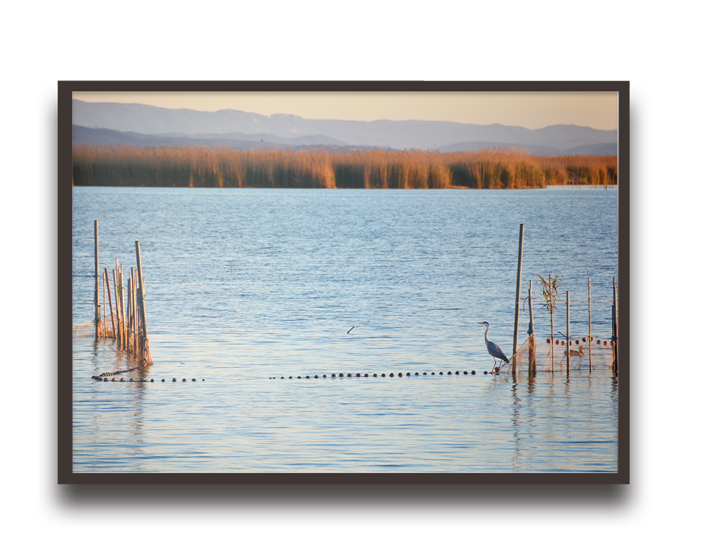 A tranquil lake scene with tall reeds along the shore, a heron standing in shallow water near wooden stakes and posts, mountains in the distance.