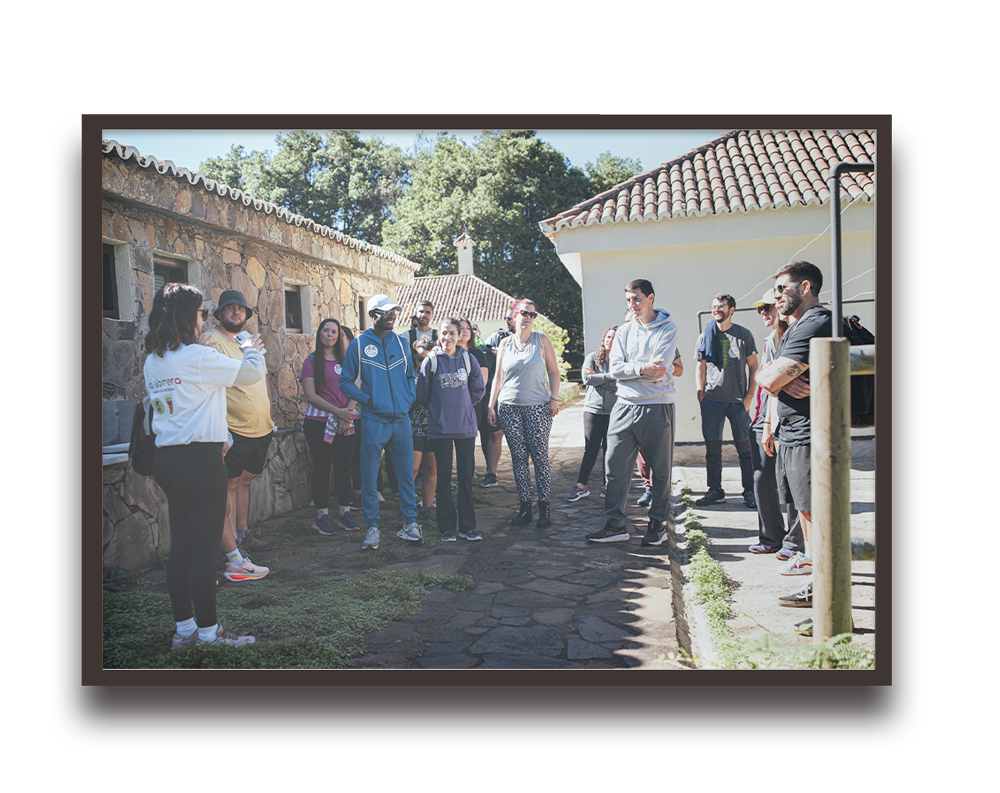 Group of people standing in a sunlit stone courtyard, listening to a guide during an outdoor tour.