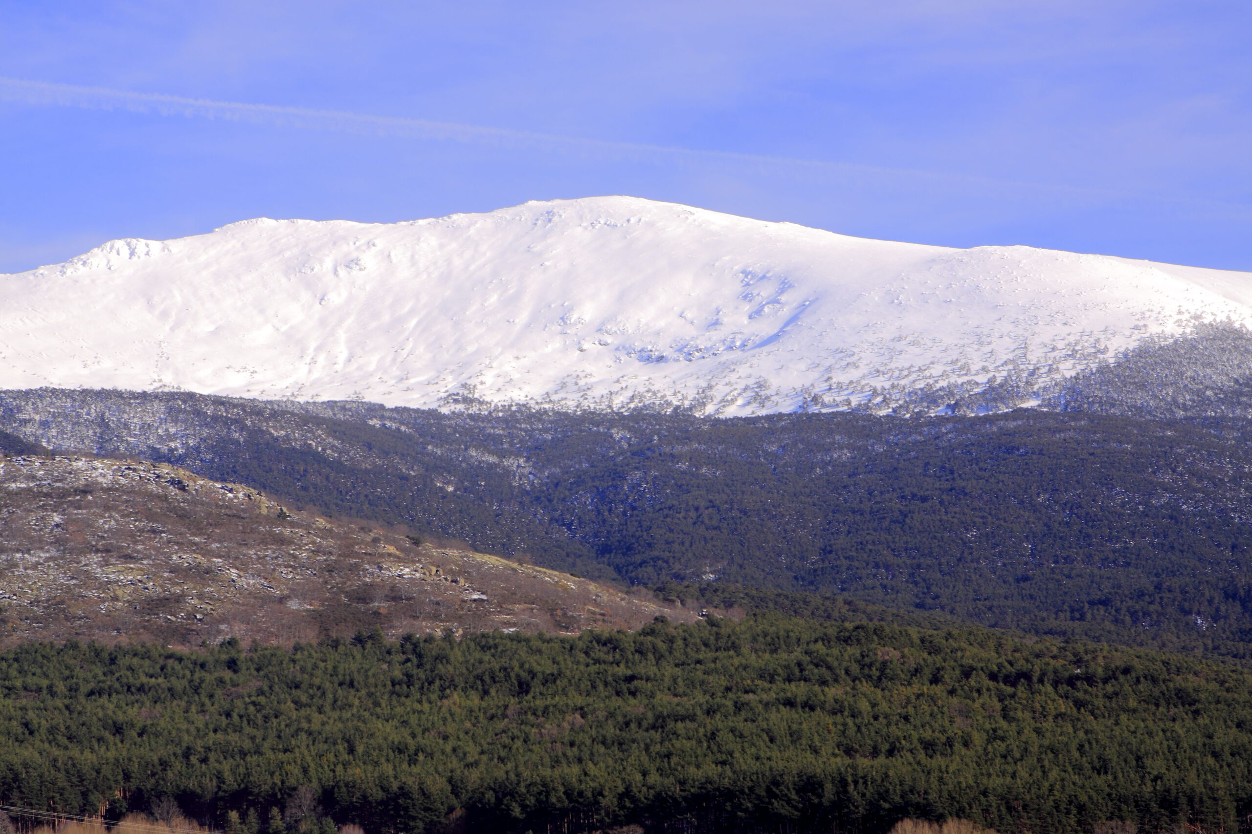 Snow-covered mountain range against a blue sky with a dense forest at its base.