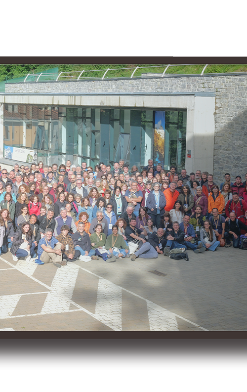 Large group of people posing for a group photo outside a stone building with glass doors and a mural on the wall, on a sunny day.
