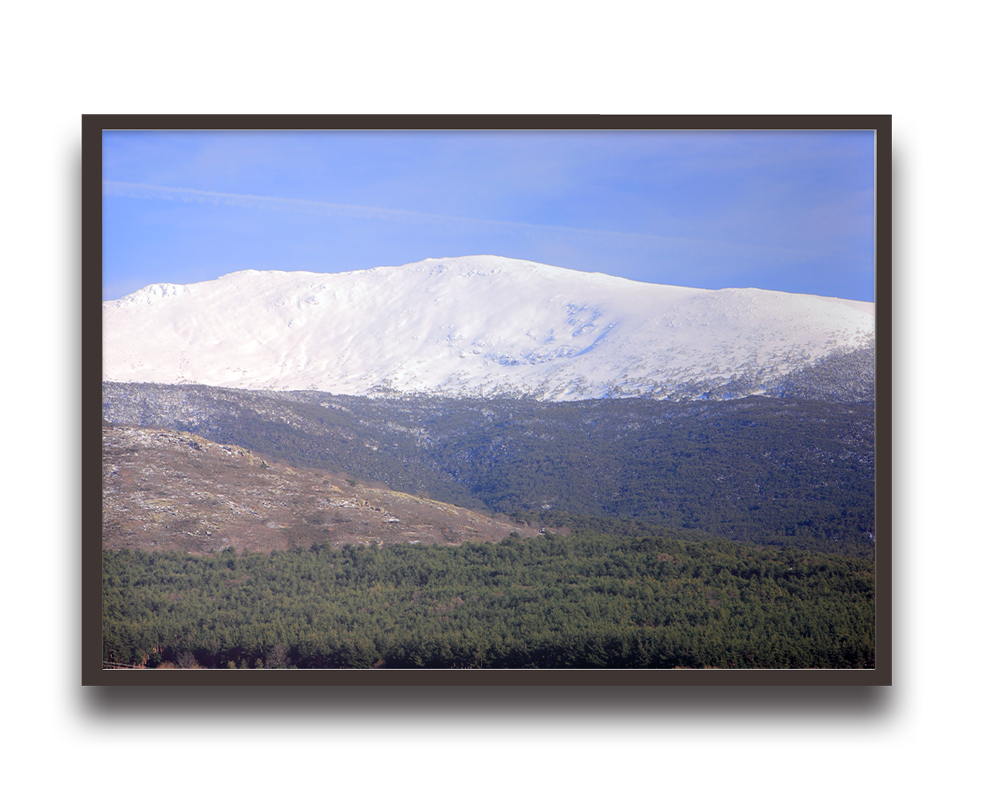 Framed landscape: snow-covered mountain range above a dense evergreen forest under a blue sky.