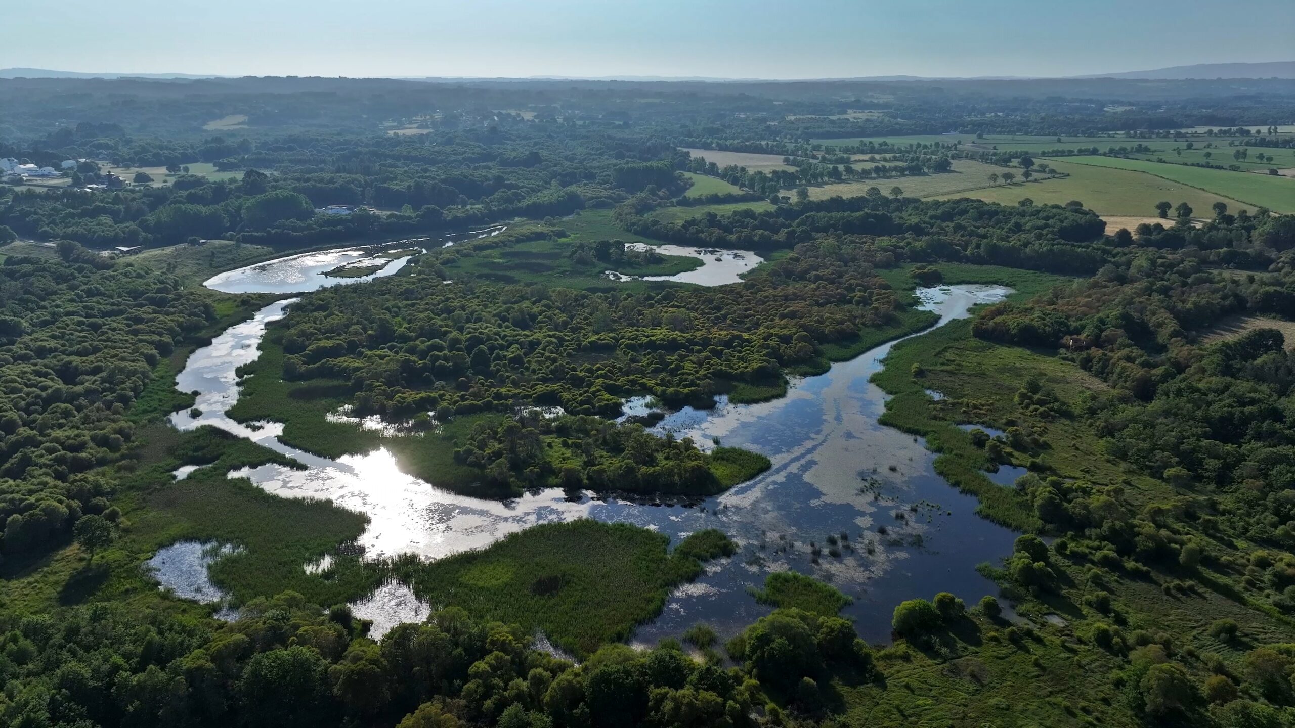 Aerial view of a winding river through lush wetlands and forests with farmland in the distance.