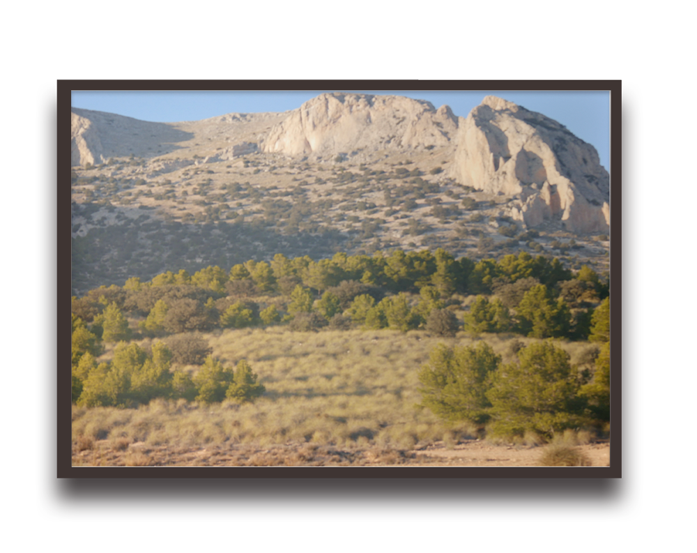 Desert landscape with rugged rocky mountains in the background, evergreen trees and dry grasses in the foreground under a clear sky, framed like a photo.