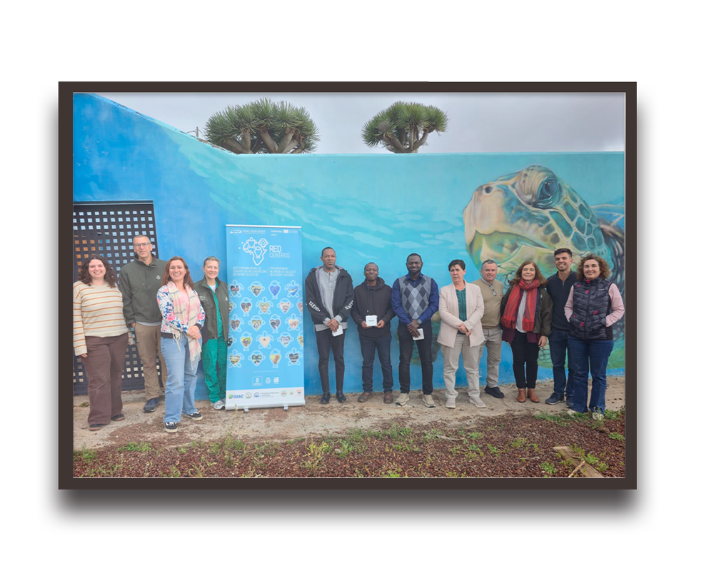 Group of people standing outdoors in front of a blue turtle mural with a promotional banner nearby, posing for a photo.