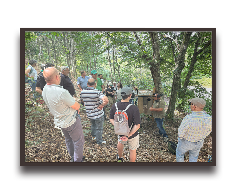 Group of people standing in a forest listening to a speaker near a wooden information board outdoors under trees.