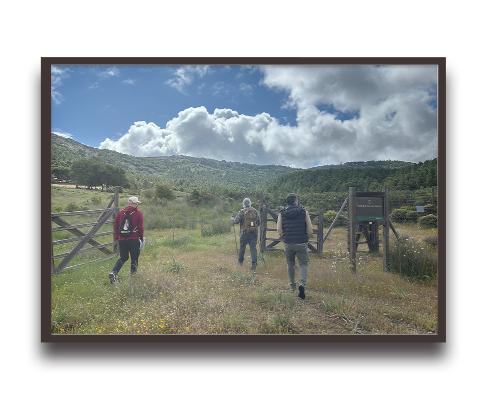 Three hikers walk through a wooden gate into a grassy field with hills and a blue sky above.