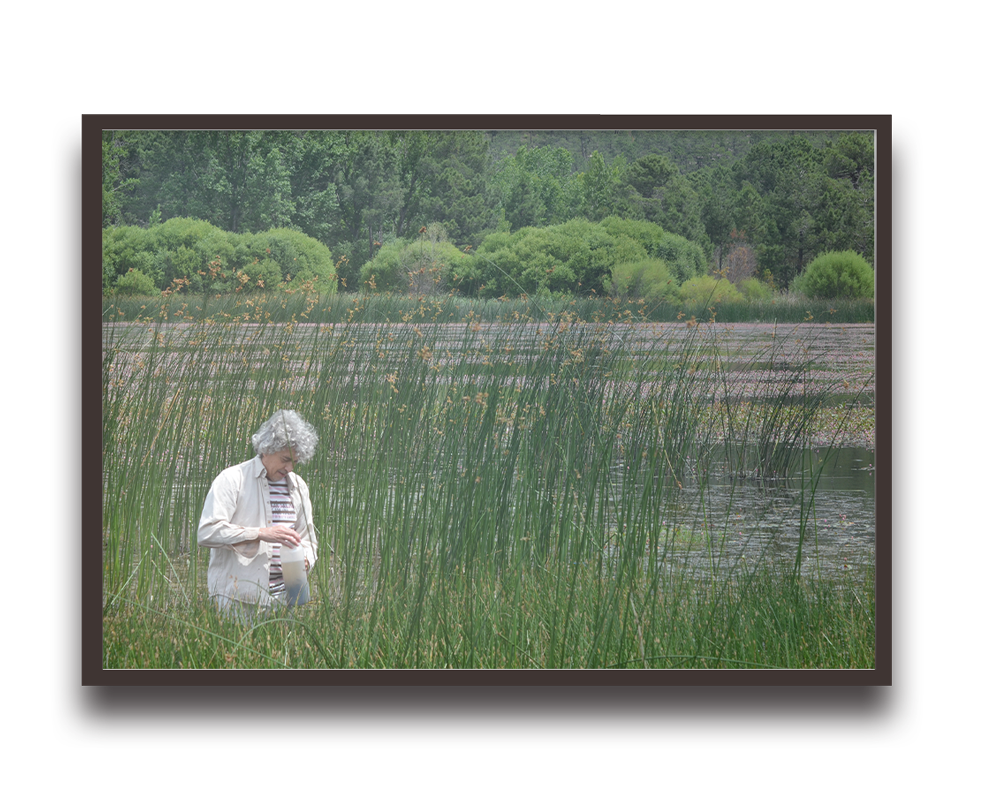 Senior woman standing among tall reeds by a pond in a park-like setting.