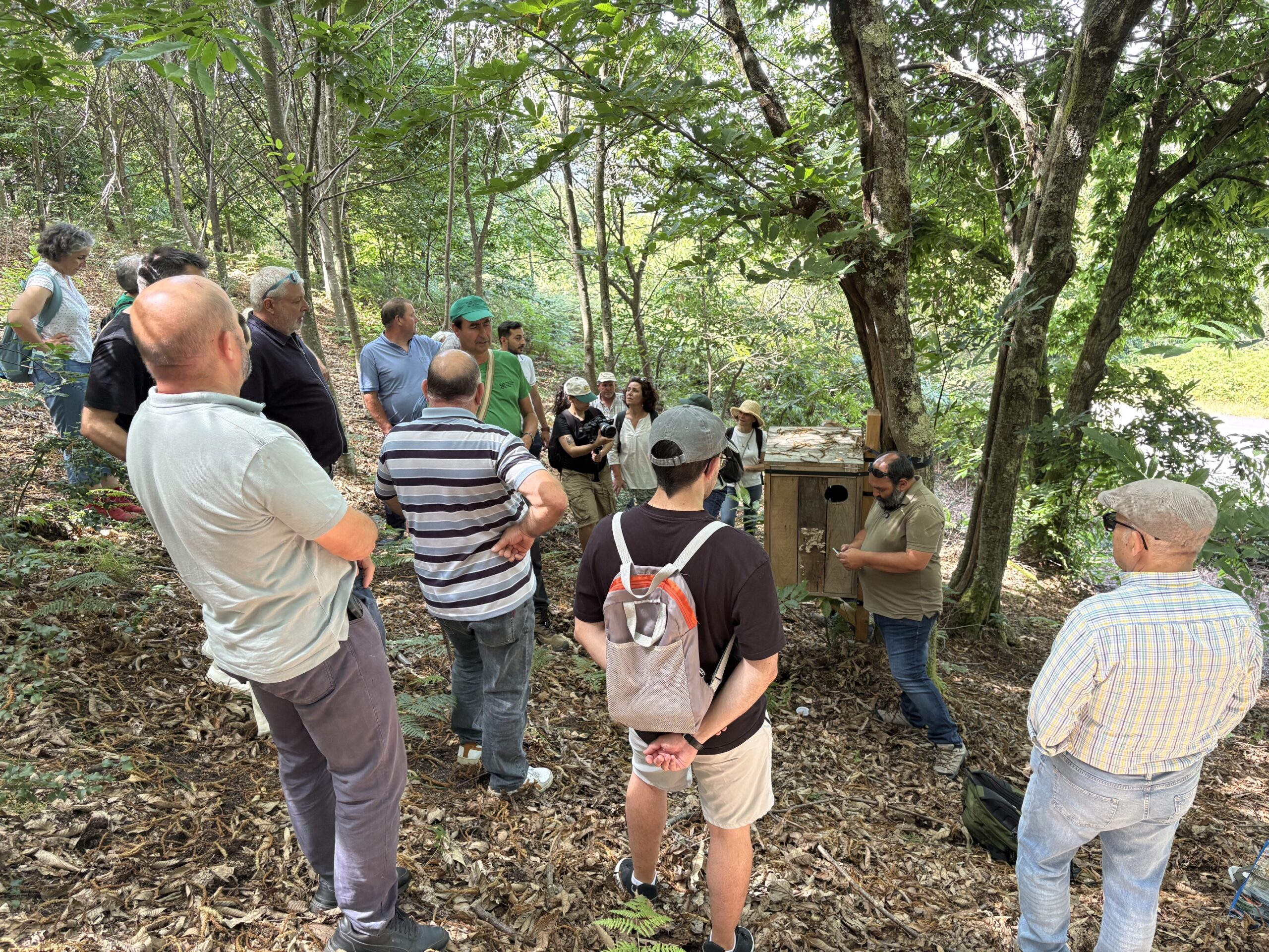 Group of people gathered in a forest clearing, listening to a guide beside a wooden box or structure.